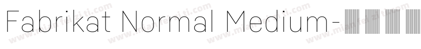 Fabrikat Normal Medium字体转换
